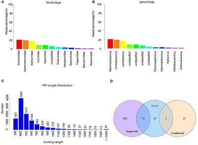 A metagenomic insight into the Yangtze finless porpoise virome